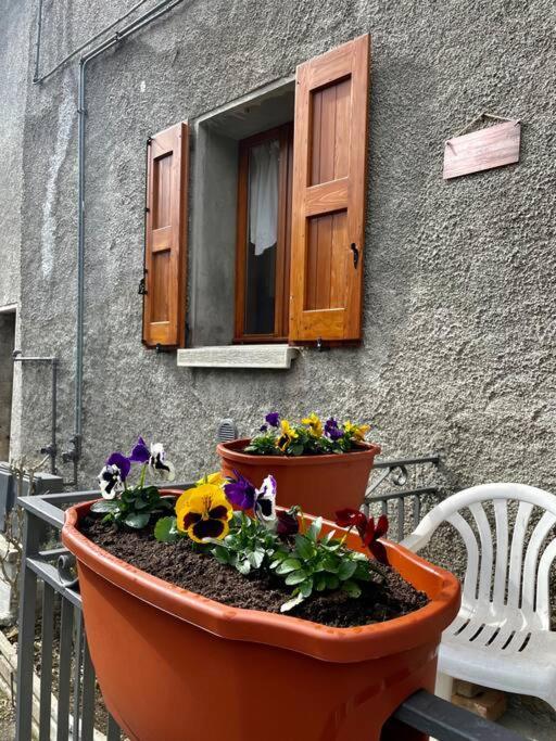 Casa Vacanze Ca' Di Lucchini San Benedetto Val di Sambro Dış mekan fotoğraf