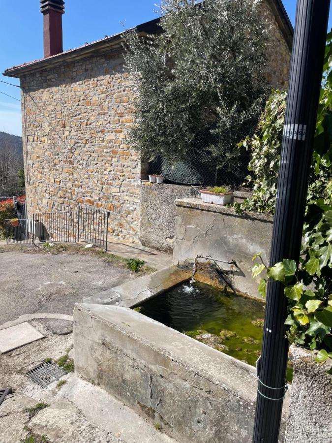 Casa Vacanze Ca' Di Lucchini San Benedetto Val di Sambro Dış mekan fotoğraf
